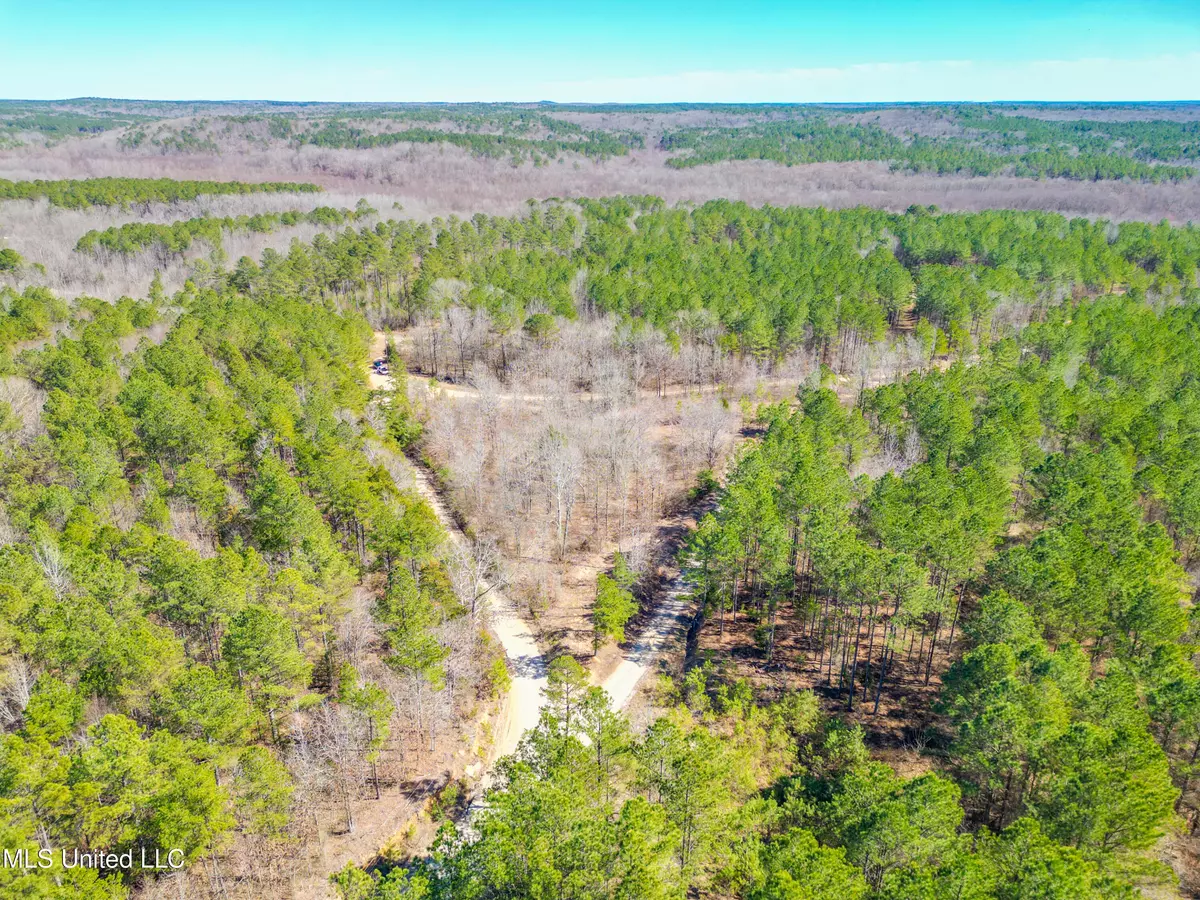 Ashland, MS 38603,1101 County Road 437