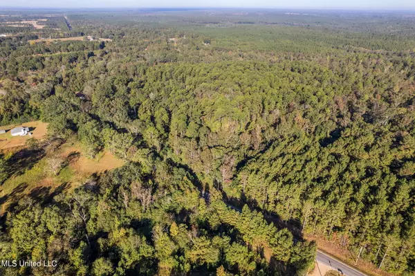 Poplarville, MS 39470,Restertown Road