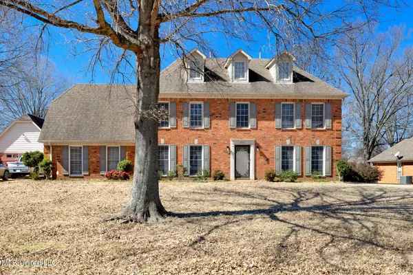 Southaven, MS 38672,4765 Jessica Drive