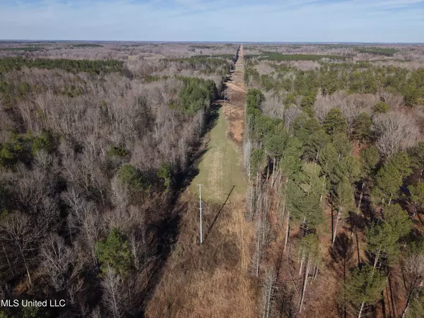 Cascilla, MS 38920,Paul Shady Grove Road Road