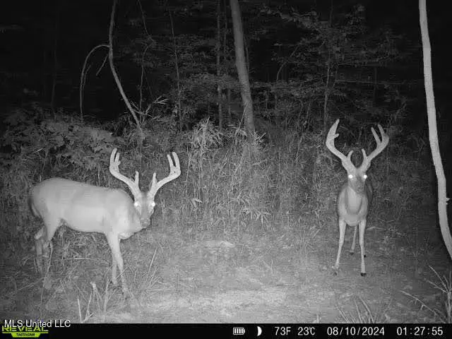 Bolton, MS 39041,6510 Coxs Ferry Road