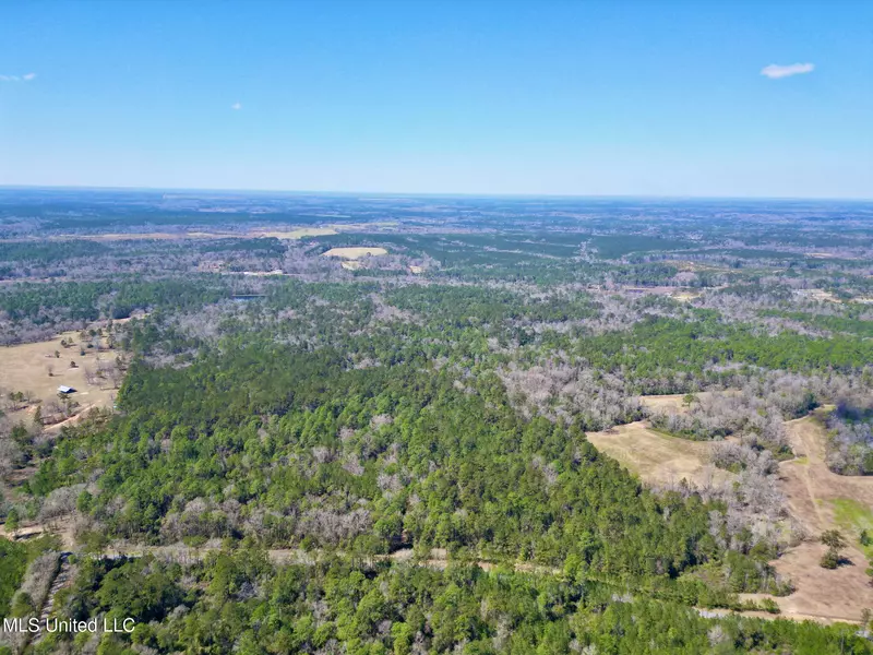 1 Cowart Holiday Road, Poplarville, MS 39470
