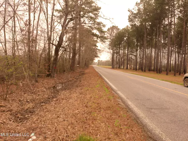 Hwy 43, Pelahatchie, MS 39145