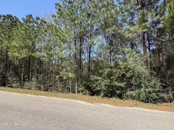 Perkinston, MS 39573,0 Conner Drive