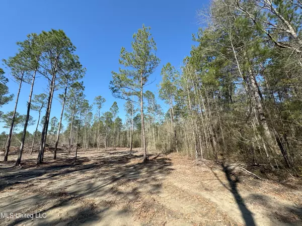 0 Creek Cove, Perkinston, MS 39573