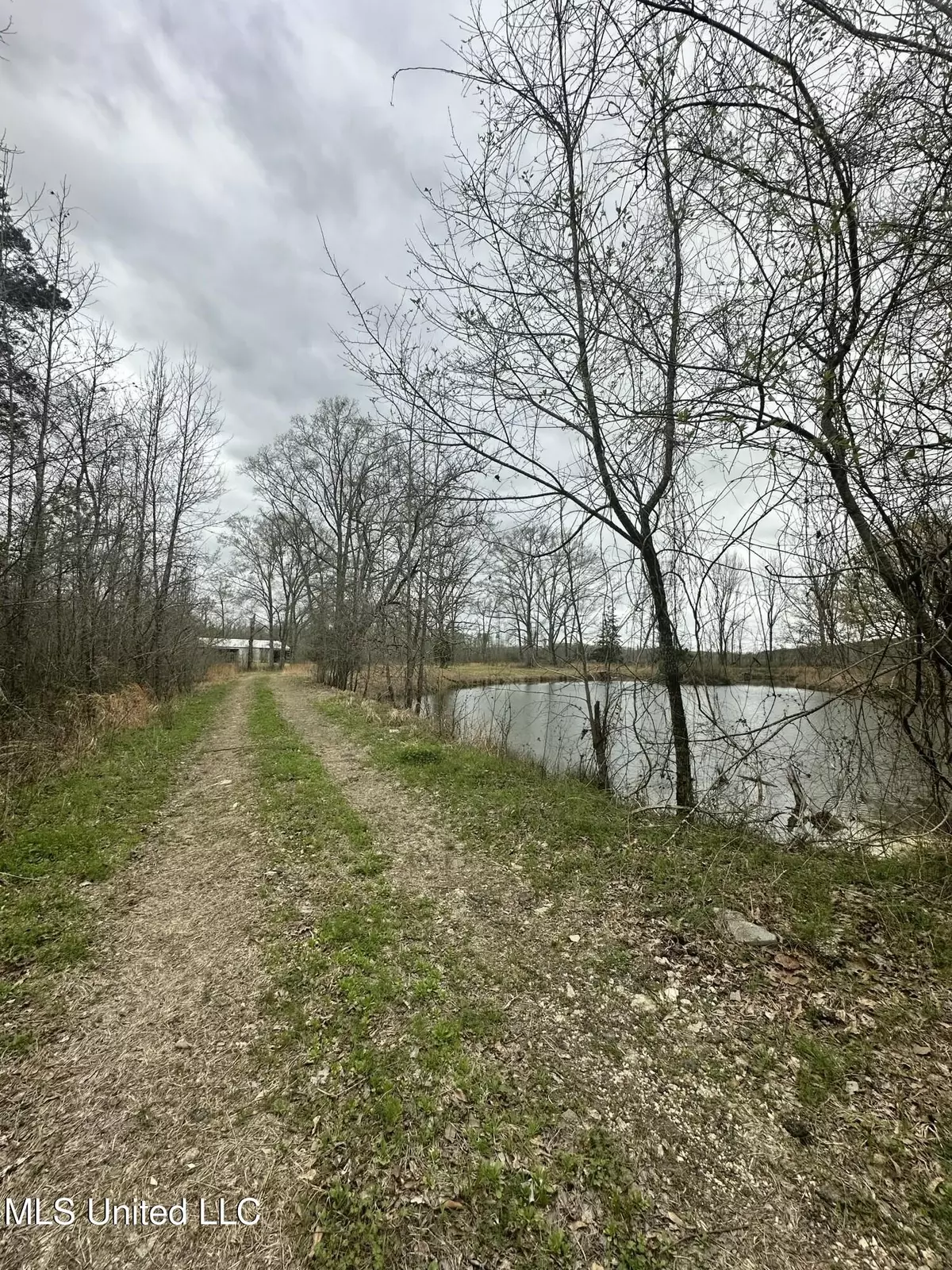 Flora, MS 39071,523 Abernathy Road