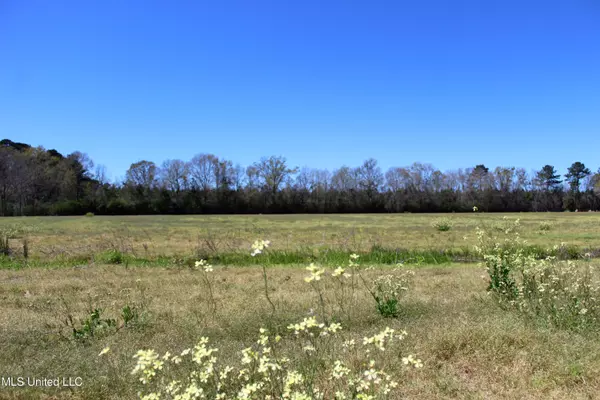 Moss Point, MS 39562,3 Ramie Farm Road