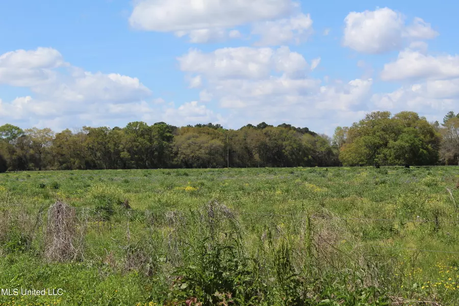 379 Ceres Farm Road, Lucedale, MS 39452