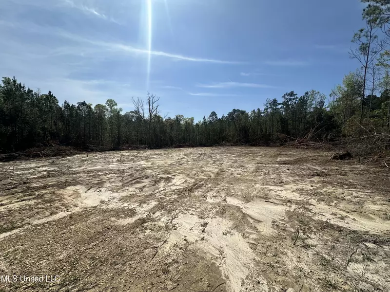 126 Will Thompson Road, Picayune, MS 39466