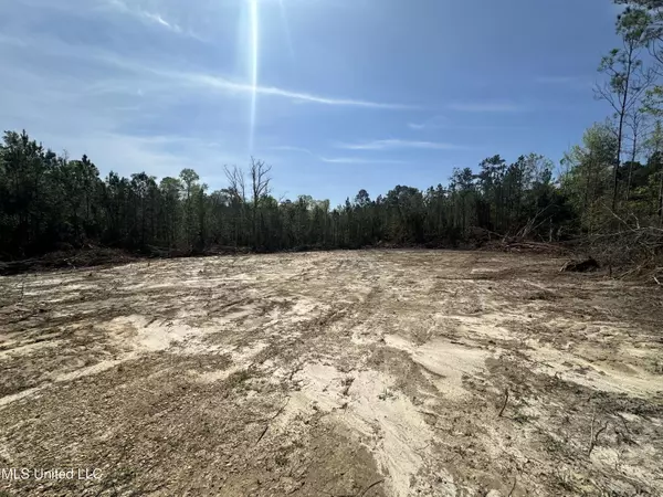 126 Will Thompson Road, Picayune, MS 39466