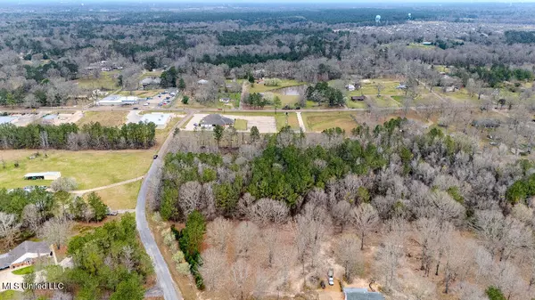 Brandon, MS 39042,0 Jamison Court