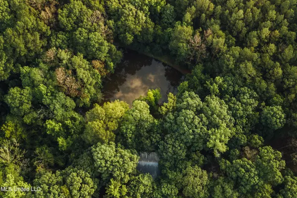 Puckett, MS 39042,0 Earl Burkes Road