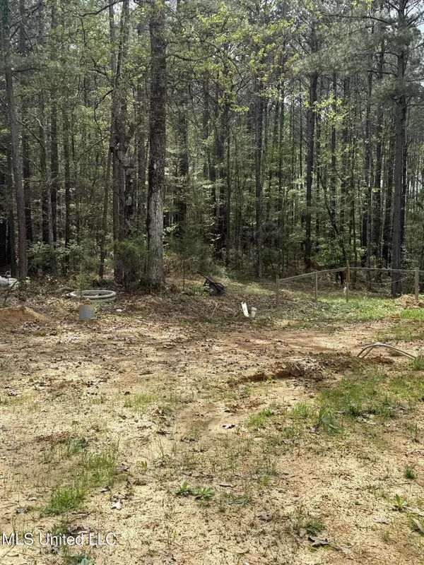 Lena, MS 39094,1900 Crawford Circle