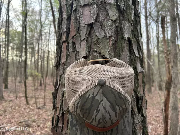 Union, MS 39365,County Road 270