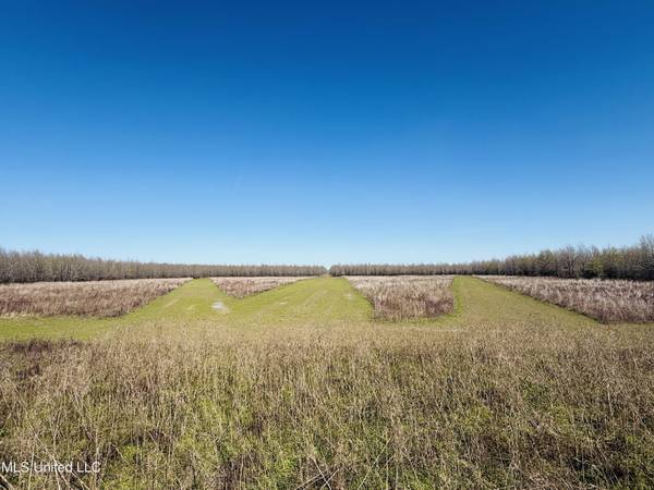 0 Priddy Road, Rolling Fork, MS 39159