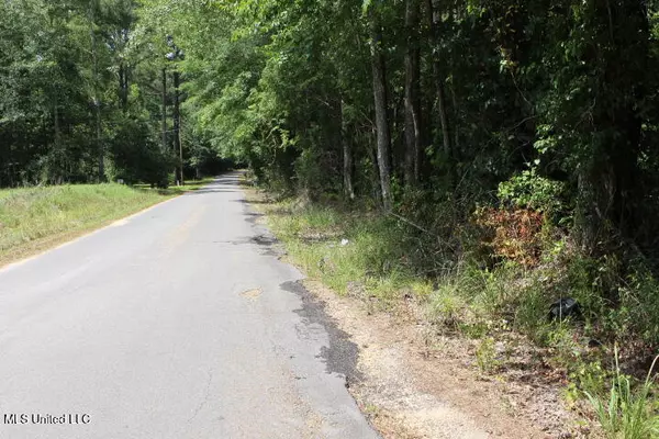 Braxton, MS 39044,0 Pinola Braxton Road