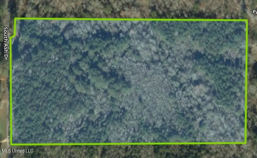 Braxton, MS 39044,0 Pinola Braxton Road