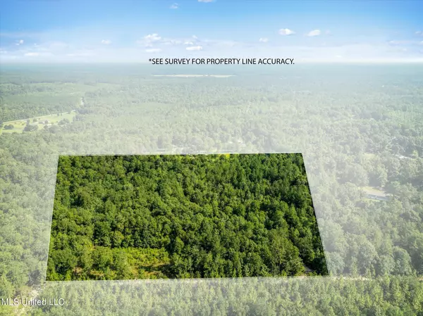 Beaumont, MS 39423,Forest Lake Road