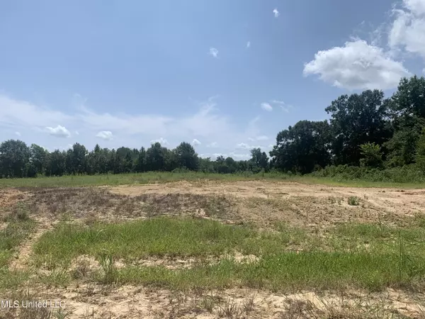 42 Deerwood Crossing Drive, Lake Cormorant, MS 38641