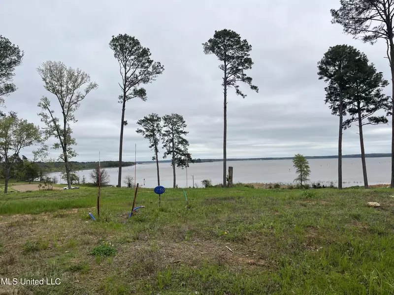 118 Calliope Park, Canton, MS 39046