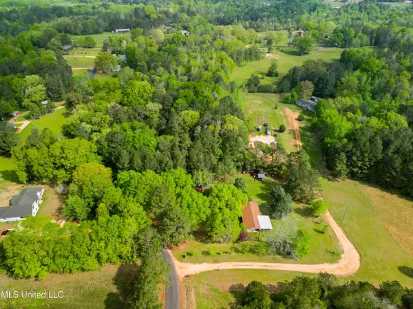 142 Pea Patch Drive Mendenhall, MS 39114