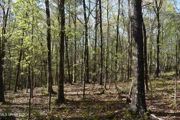 Holly Springs, MS 38635,0 Leonard Lane