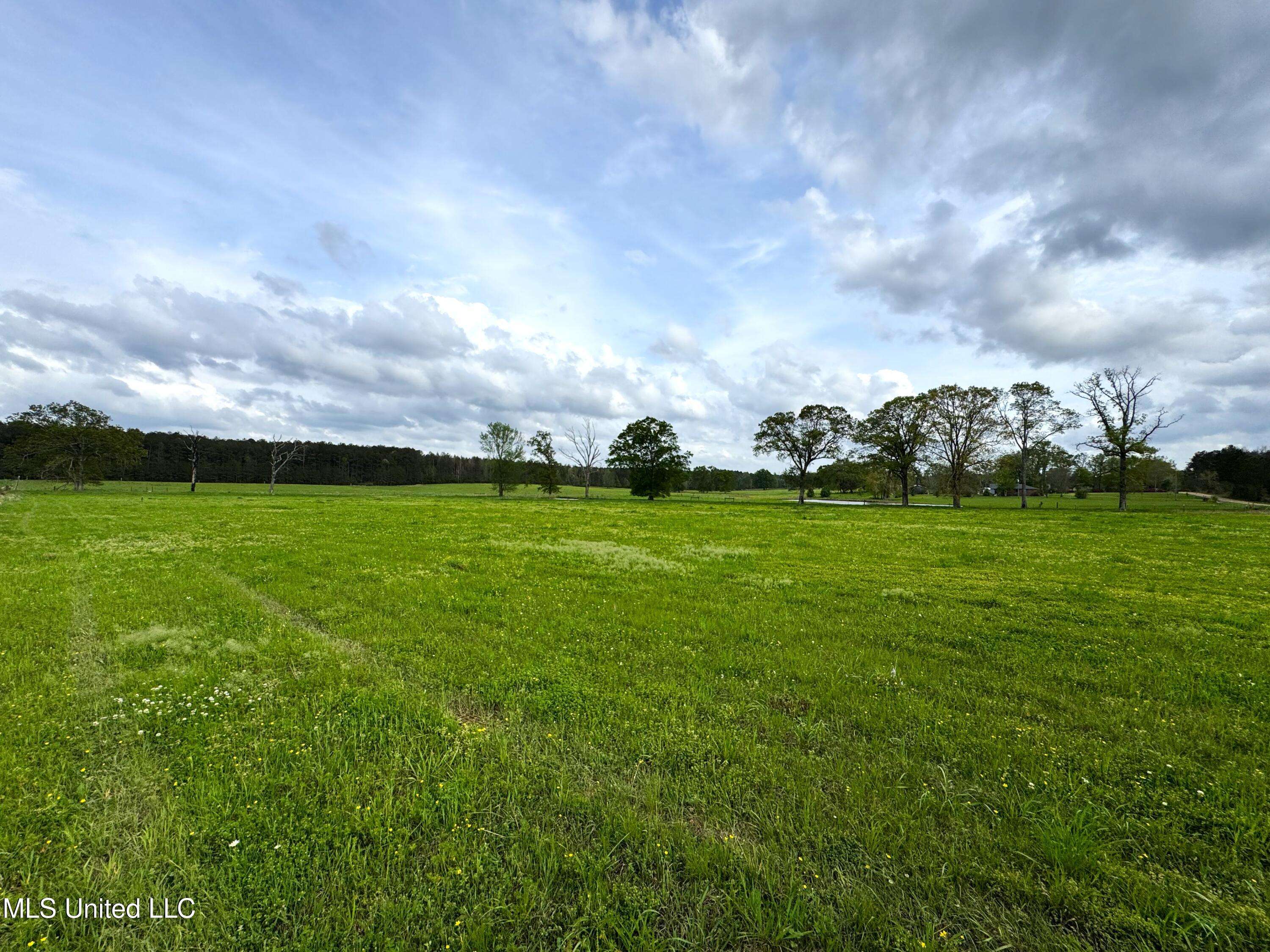 2451 Dalton Lane, Smithdale, MS 39664