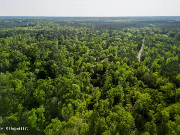 Lucedale, MS 39452,Peewee Miller Road