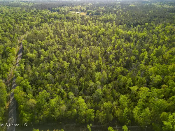 Peewee Miller Road, Lucedale, MS 39452