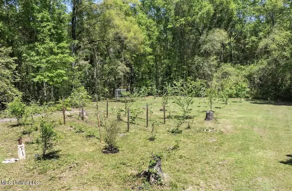 Vancleave, MS 39565,13217 Ware Lake Road