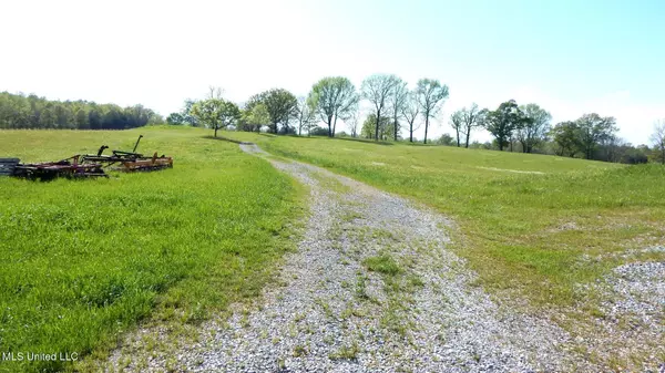 Sarah, MS 38665,1080 Egypt Creek Road