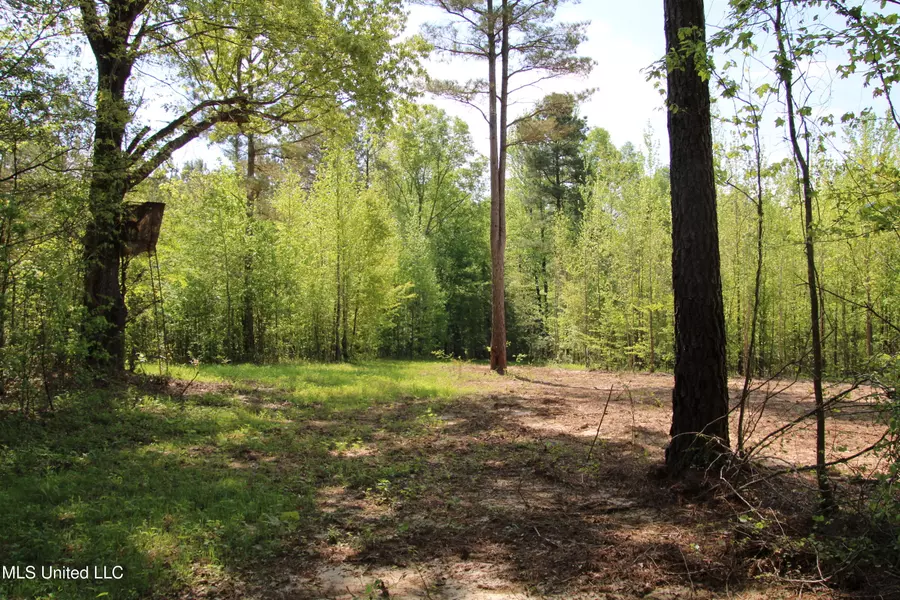 Newport Road, Lexington, MS 39095