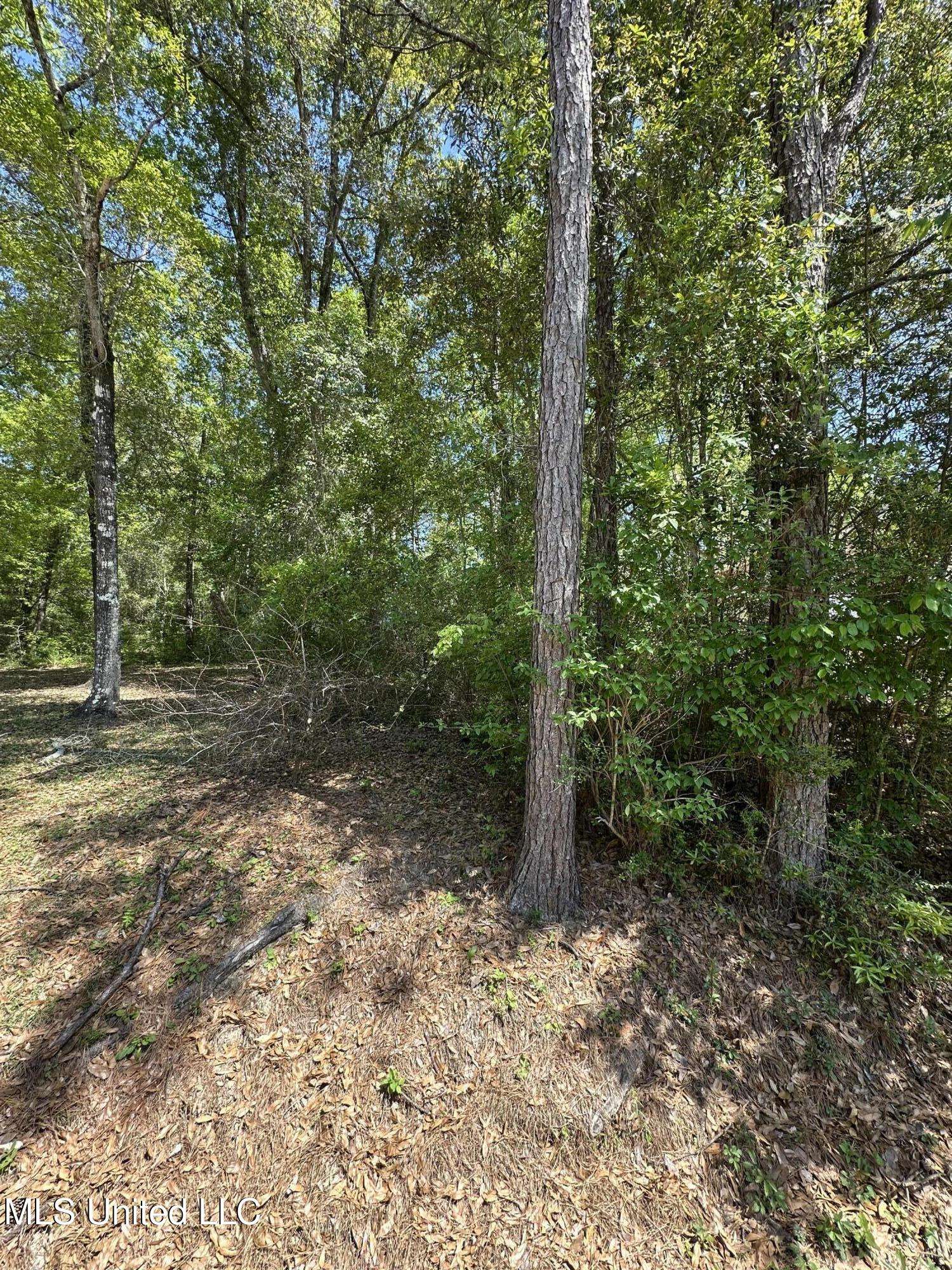 Kale Place, Diamondhead, MS 39525