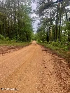 Bogue Chitto, MS 39629,450 SW Apple Trail