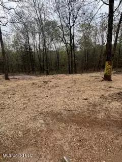957 Roberson Lane, Batesville, MS 38606