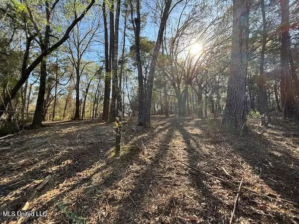 Vancleave, MS 39565,11900 Johns Bayou Road