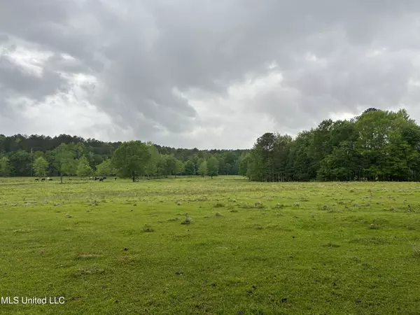 Lauderdale, MS 39335,Hwy 45 N