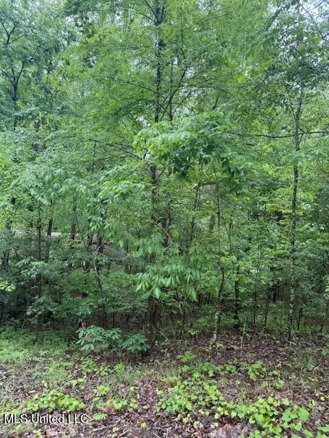 72 Block B Holiday Hills, Como, MS 38619