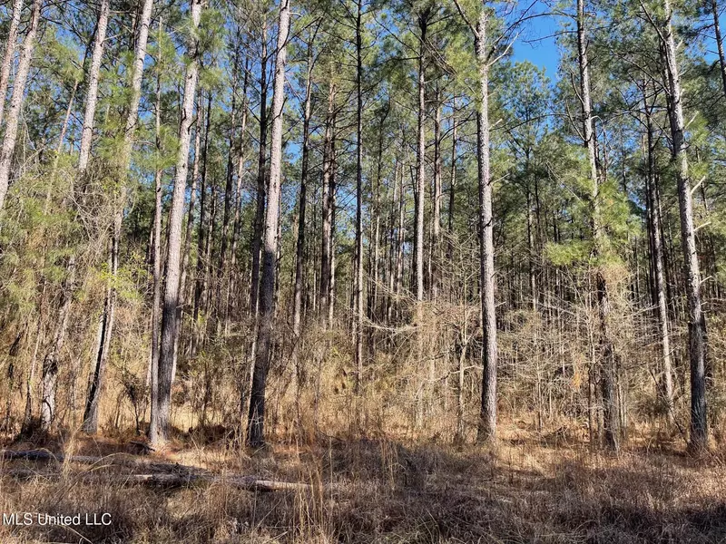 0 Sun Road, Raleigh, MS 39153