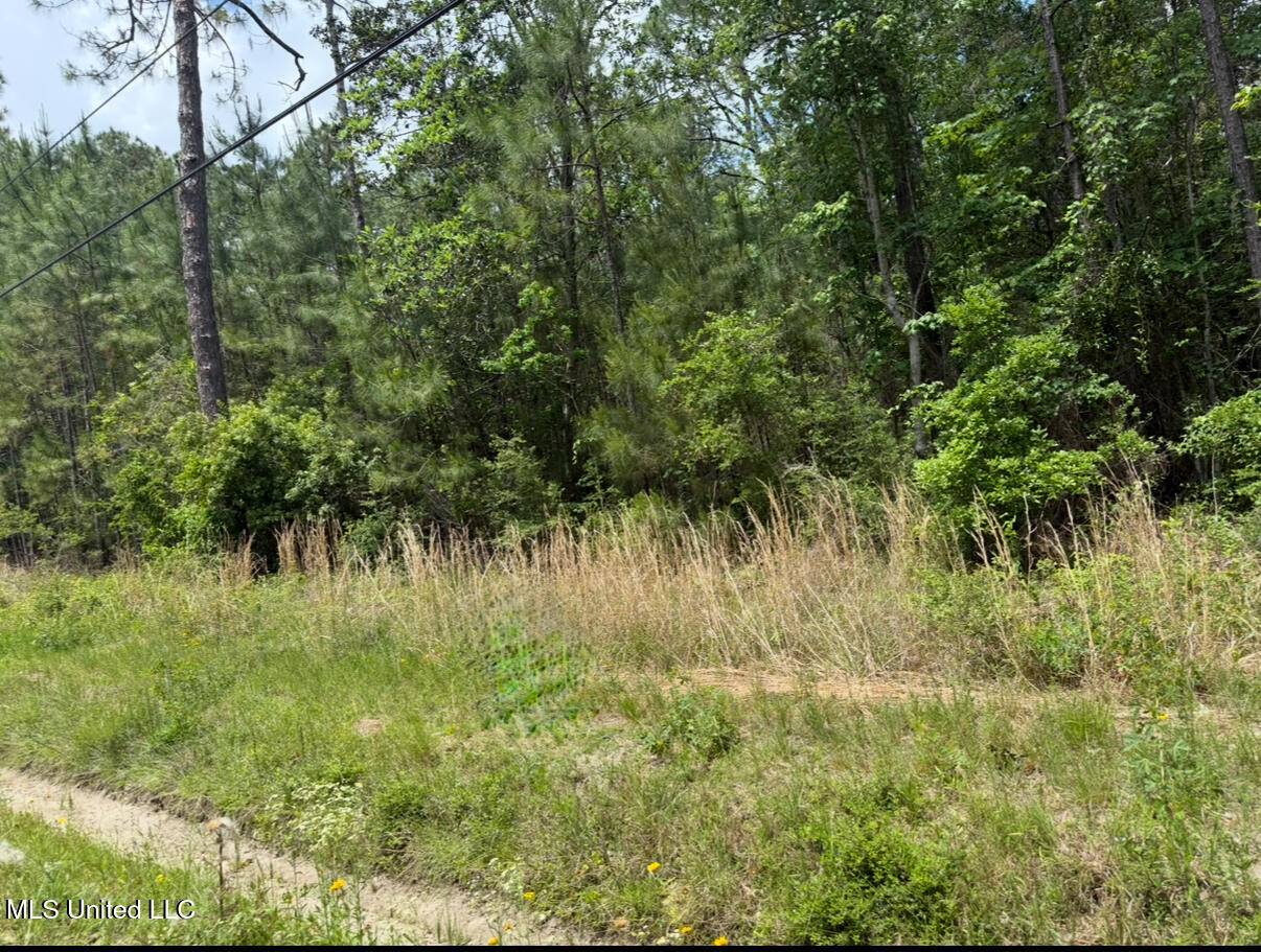 W Adams Street, Bay Saint Louis, MS 39520