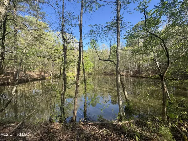 Ashland, MS 38603,Liberty Church Road