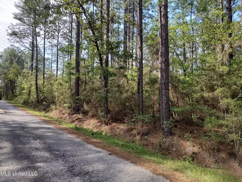 Magnolia Lane Lane, Poplarville, MS 39470