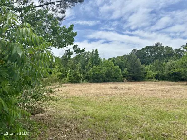 Jessie Lane, Picayune, MS 39466