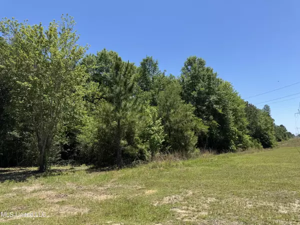 Saucier, MS 39574,20090 Nells Road