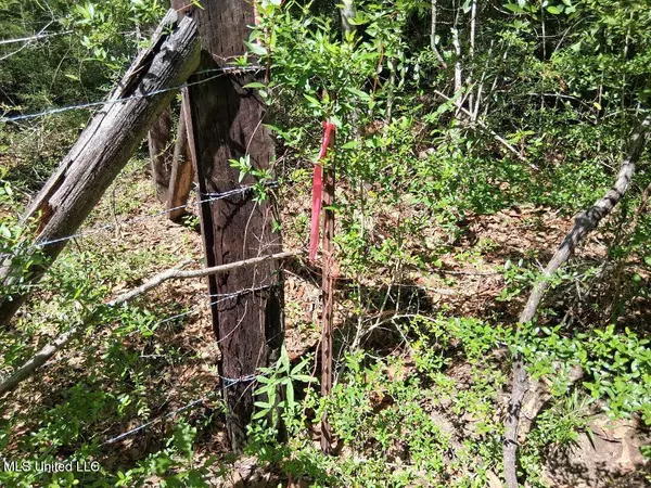 Lucedale, MS 39452,0 Ben Pierce