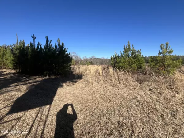 Hermanville, MS 39086,0 Holly Grove Lane