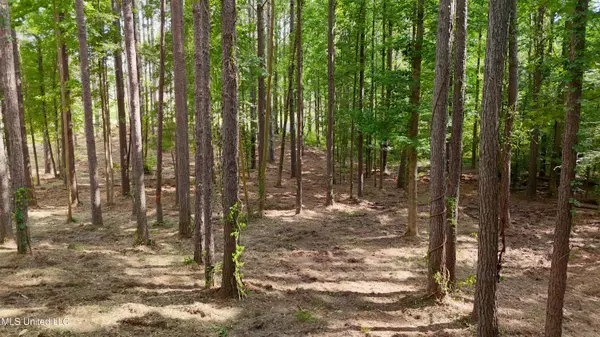 Brandon, MS 39042,Dogwood Trace