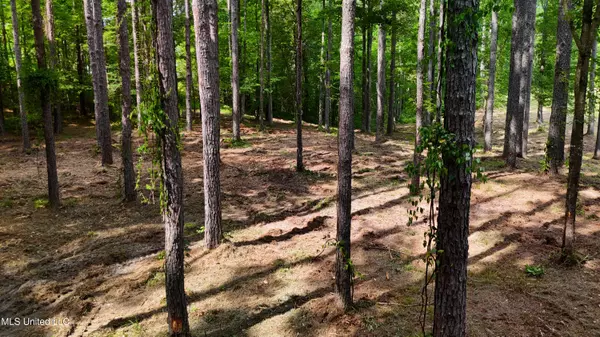 Brandon, MS 39042,Dogwood Trace