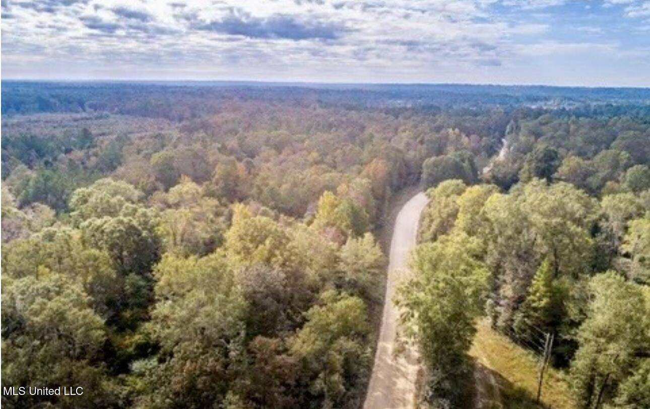 Petal, MS 39465,0 Locklear Rd. Road
