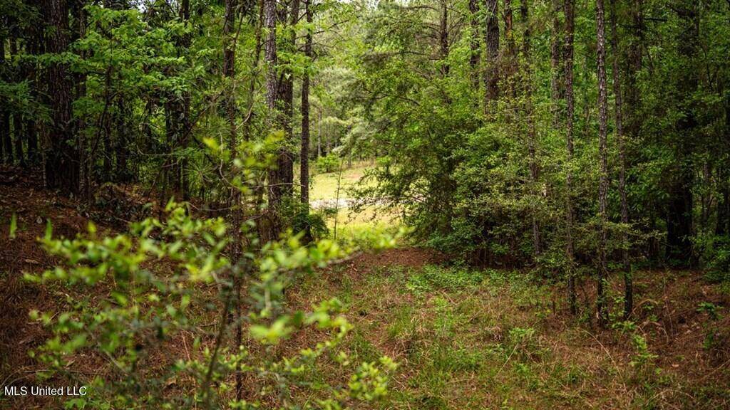 Crosby, MS 39633,2683 33 Highway